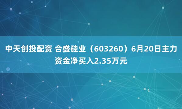 中天创投配资 合盛硅业（603260）6月20日主力资金净买入2.35万元