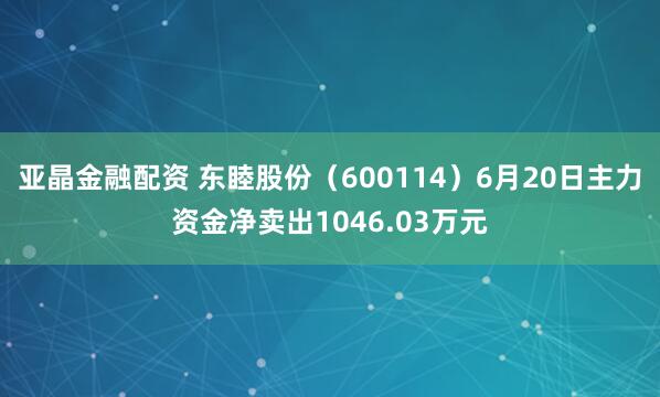 亚晶金融配资 东睦股份（600114）6月20日主力资金净卖出1046.03万元